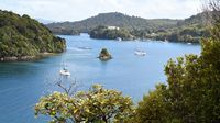 Menjelajahi Stewart Island Selandia Baru: Magnet Aurora Australis dan Oasis Ketenangan