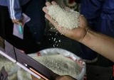 Pemerintah Tarik 25 Merek Beras Fortifikasi Ilegal: Panduan Kenali yang Asli