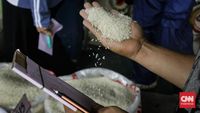 Pemerintah Tarik 25 Merek Beras Fortifikasi Ilegal: Panduan Kenali yang Asli