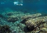 Terungkap: Kota Abad Pertengahan Tenggelam 700 Tahun Lalu Terekam di Bawah Laut Skotlandia
