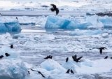 Ancaman Global Nyata: 11,3 Triliun Ton Es Greenland & Antarktika Mencair, Permukaan Laut Naik 3 Cm
