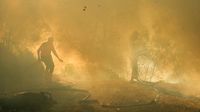 Kawah Ijen Ditutup Sementara Akibat Kebakaran Hutan Meluas: Dampak dan Antisipasi