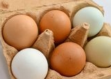 Telur Cangkang Putih atau Cokelat: Mitos Terbongkar, Mana yang Sebenarnya Anda Butuhkan?