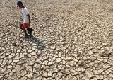 El Nino Terparah Ancam 451 Ribu Jiwa dan Krisis Global Hingga 2027