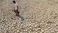 El Nino Terparah Ancam 451 Ribu Jiwa dan Krisis Global Hingga 2027