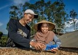 BRI Dinobatkan Bank Terbaik Dunia untuk UMKM Pertanian dan Pedesaan: Pilar Ekonomi Nasional
