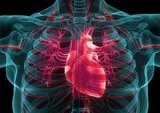 Waspada Fibrilasi Atrium Tanpa Gejala Ancaman Stroke Mengintai Diam-diam