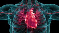 Waspada Fibrilasi Atrium Tanpa Gejala Ancaman Stroke Mengintai Diam-diam