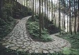 Jepang Resmikan Hitachinokuni Long Trail: 350 Km Petualangan Mendaki di Ibaraki