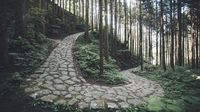 Jepang Resmikan Hitachinokuni Long Trail: 350 Km Petualangan Mendaki di Ibaraki