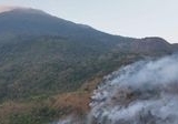 Petani Selamatkan Bayi Surili Terdampak Karhutla Gunung Ciremai, Kisah Haru di Tengah Bencana