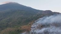 Petani Selamatkan Bayi Surili Terdampak Karhutla Gunung Ciremai, Kisah Haru di Tengah Bencana