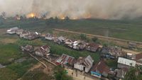 Karhutla Sumatera Selatan Kian Mengganas, BMKG Peringatkan Potensi Kabut Asap Lintas Wilayah