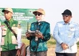 Analisis: Kementan Perkuat Swasembada Pangan Melalui Gerakan Tanam Serempak