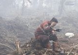 Kabut Asap Mencekik Riau: 28 Ribu Jiwa Terserang ISPA Akibat Karhutla