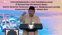 Prabowo Tegaskan Komitmen Perlindungan Investasi Asing, Kamar Dagang China Apresiasi