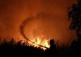Karhutla Kalteng Meluas Drastis, 100 Ribu Hektare Lahan Hangus Dikonfirmasi Wamenko Hanif